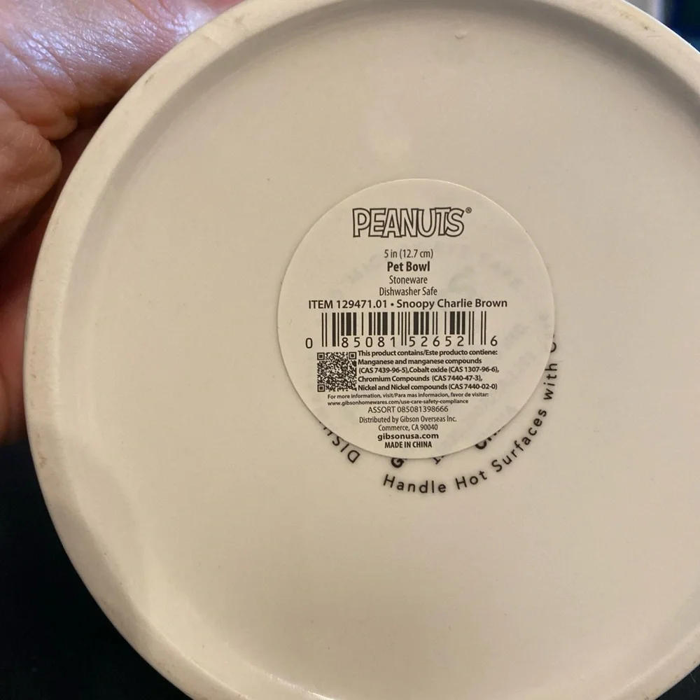 Snoopy peanuts dog dish